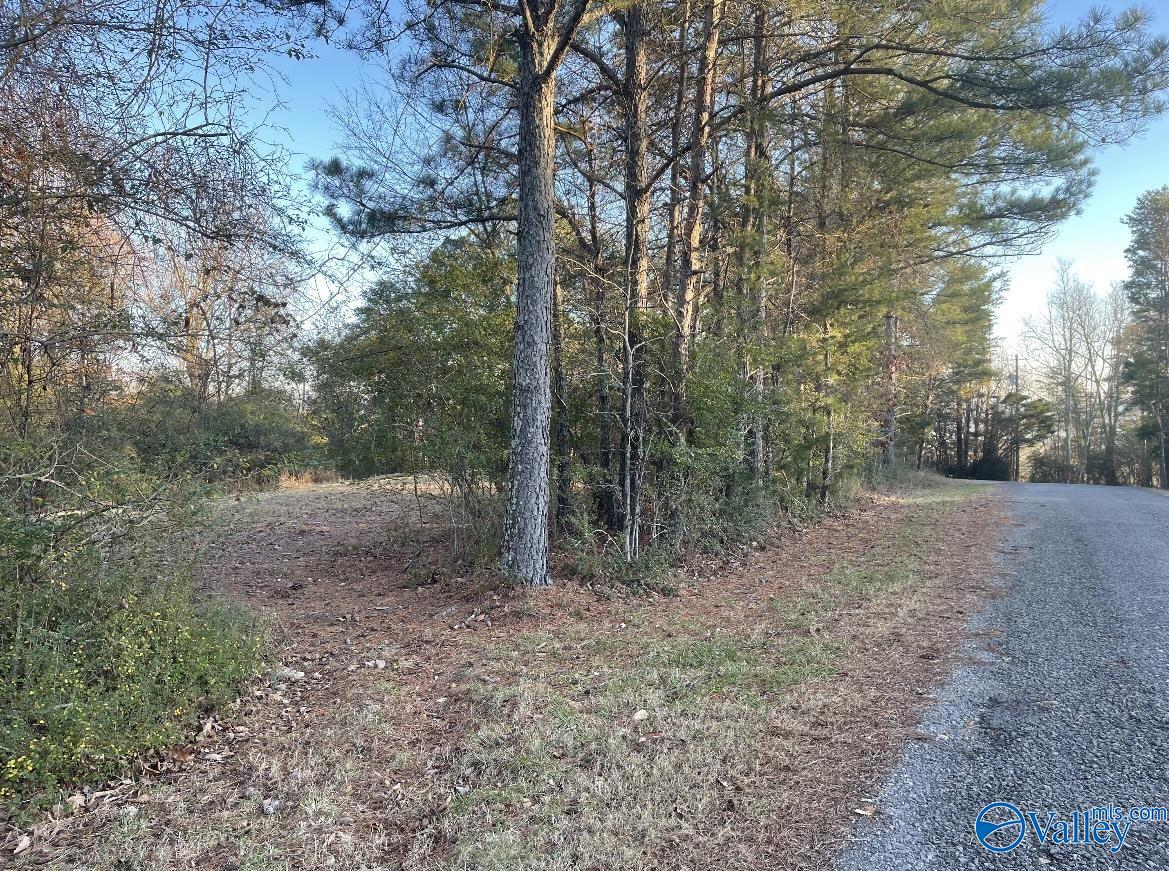 Lot 19 Leach Drive, Guntersville, Alabama image 2