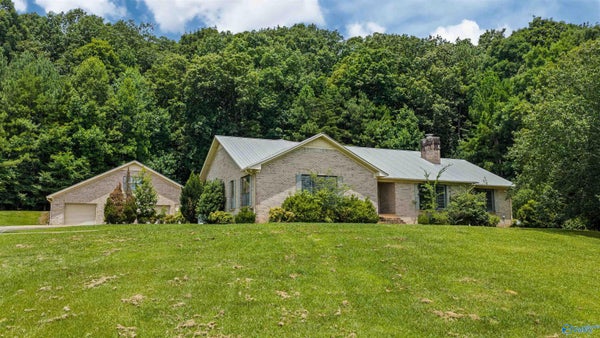 4486 COUNTY ROAD 458, COLLINSVILLE, AL 35961 - Image d5d21b7b6b6f69cd131121b1ca441a71/2533131382
