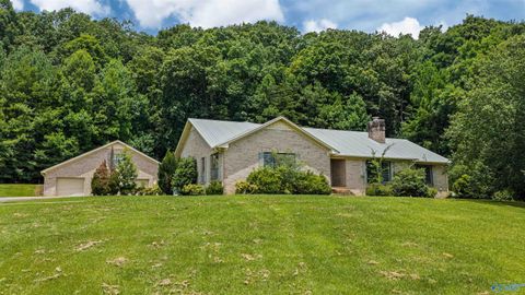 Homes For Sale - 4486 County Road 458<br/> Dekalb County, Collinsville, AL 35961