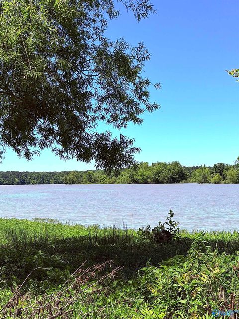 Vacant Land For Sale - LOT 41 County Road 1008<br/> Cedar Bluff, AL 35959