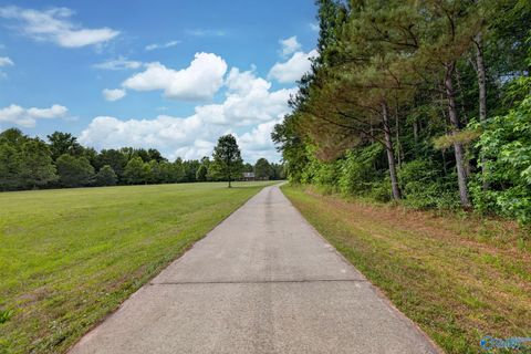 Homes For Sale - 725 County Road 195<br/> Lawrence County, Danville, AL 35619