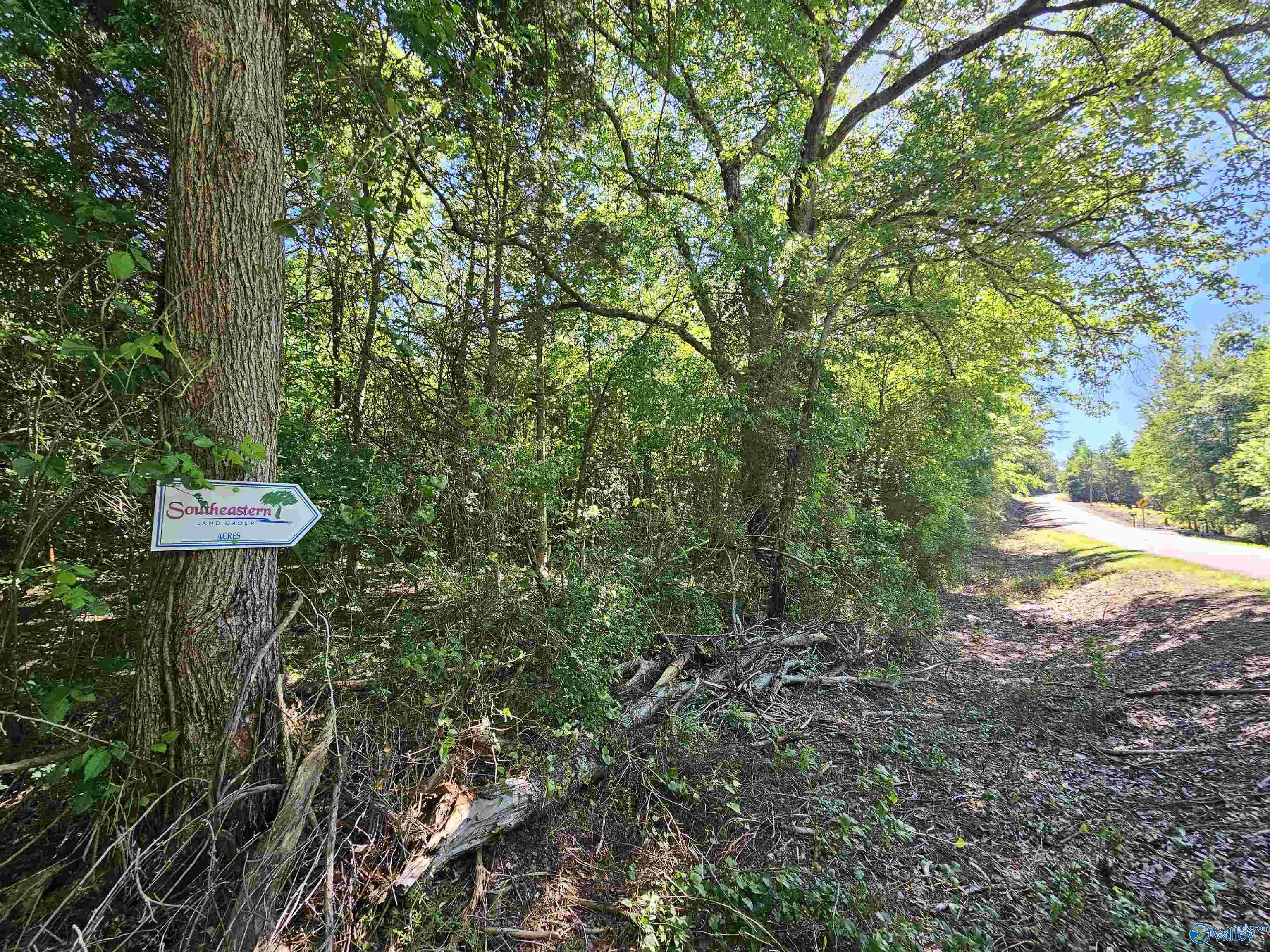 Lot 1 County Road 60, Gaylesville, Alabama image 6