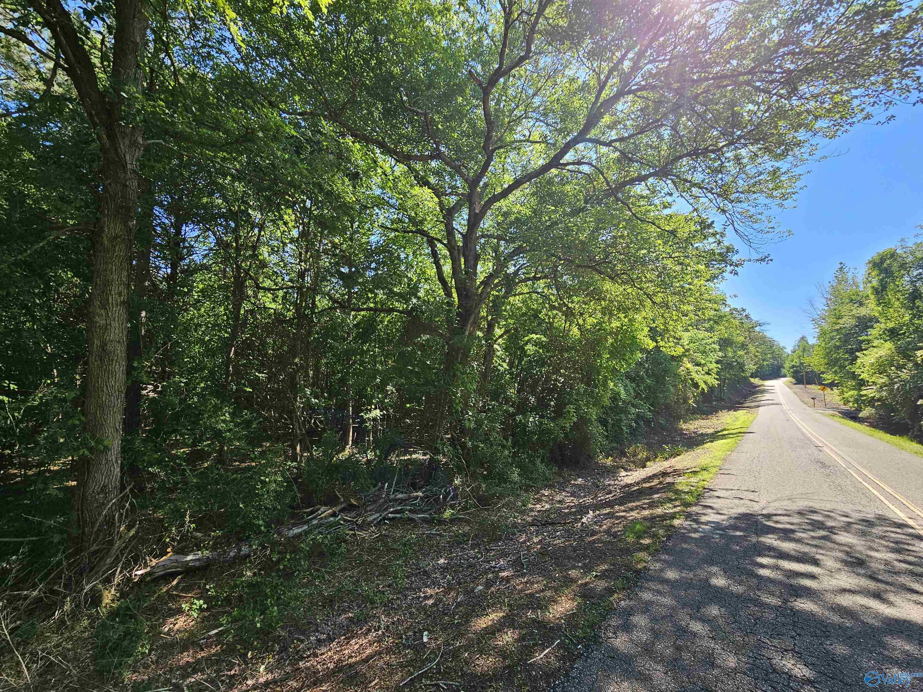 Lot 1 County Road 60, Gaylesville, Alabama image 1