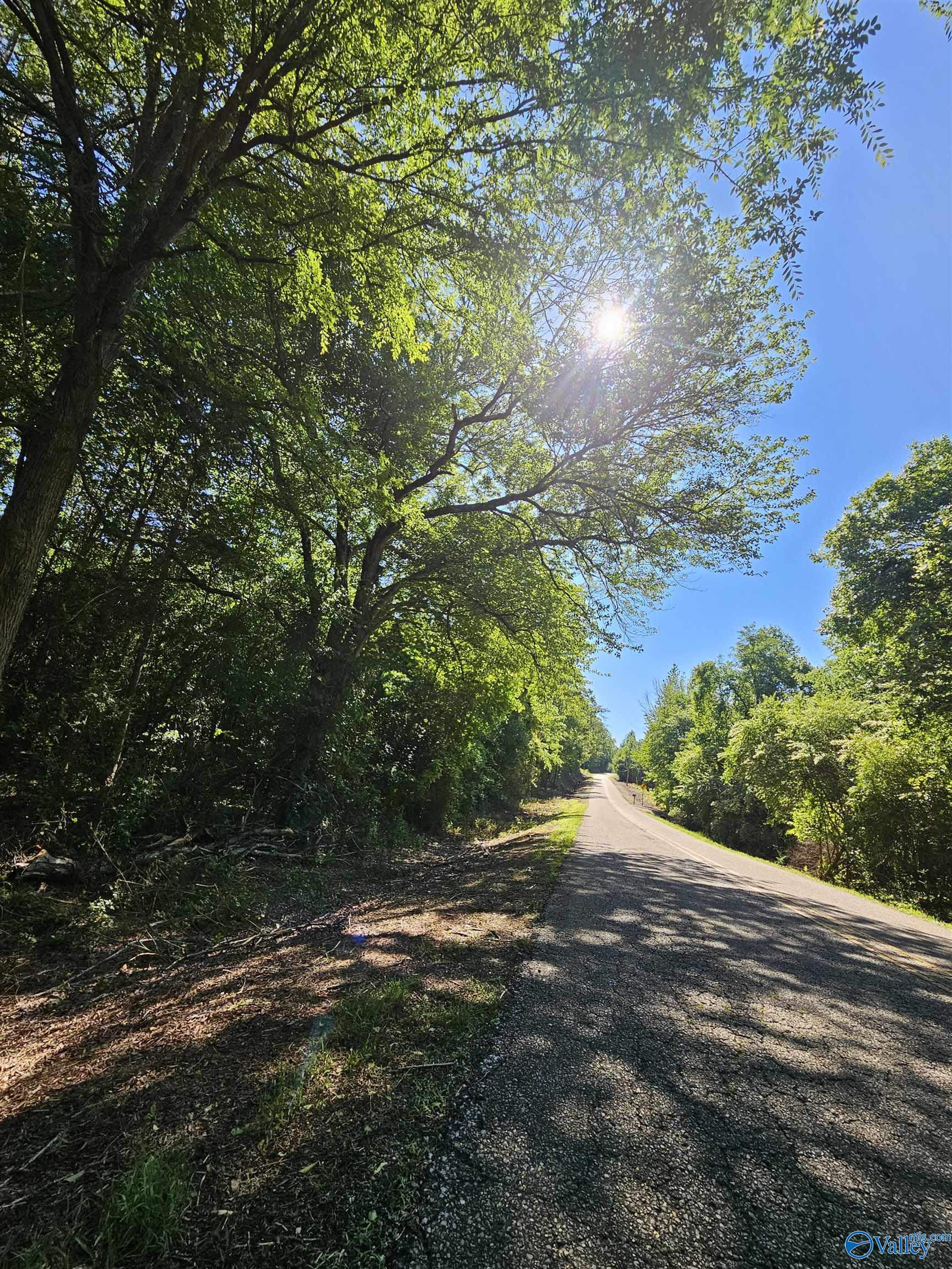 Lot 1 County Road 60, Gaylesville, Alabama image 4