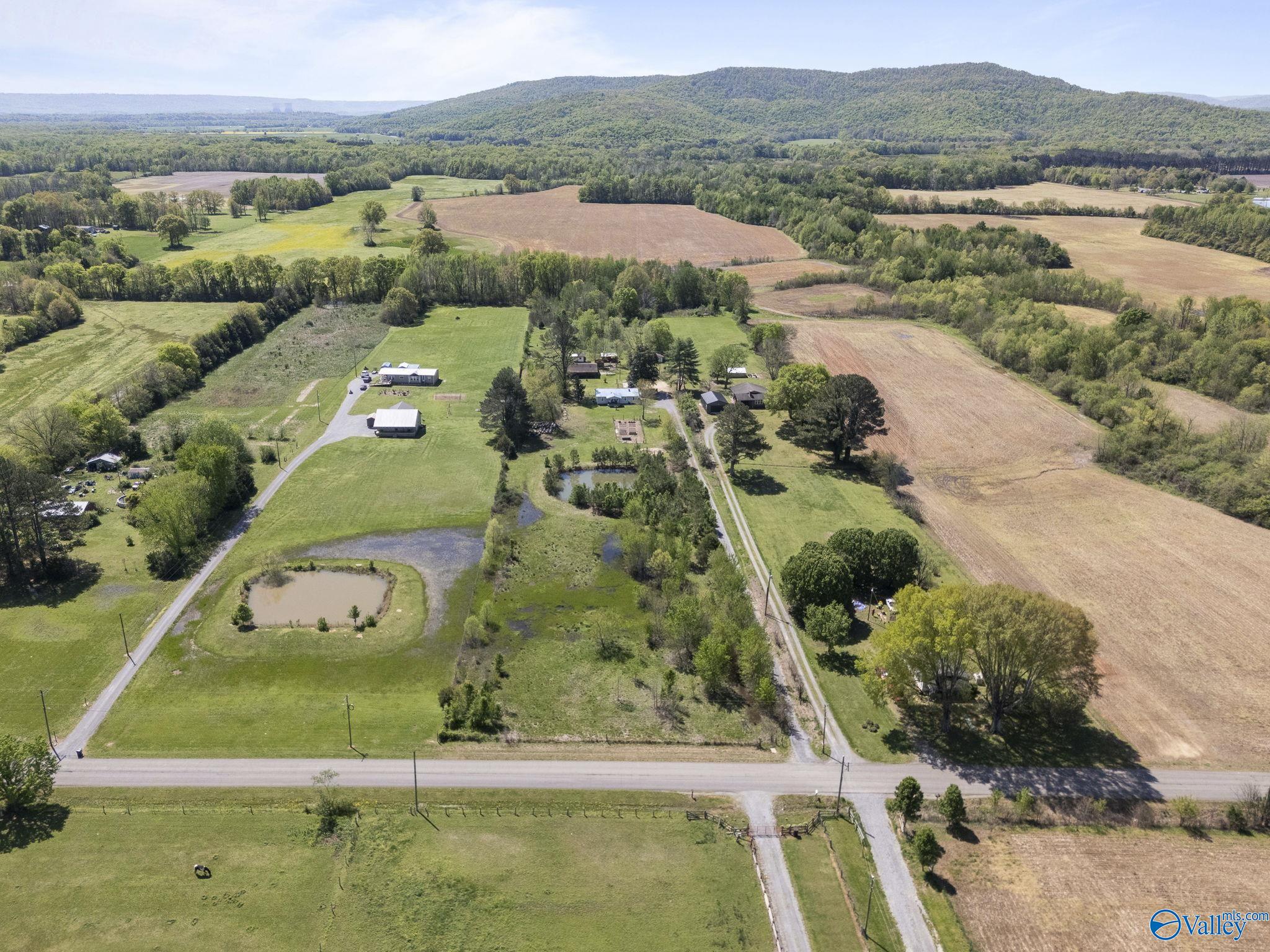 7826 County Road 42, Fackler, Alabama image 28