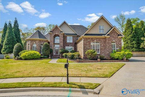 Photo of 121 Horizon View Court, Madison, AL 35758 (MLS # 21913562)