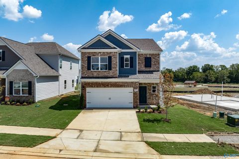 1124 Tanger Glen Trail Harvest AL 35749