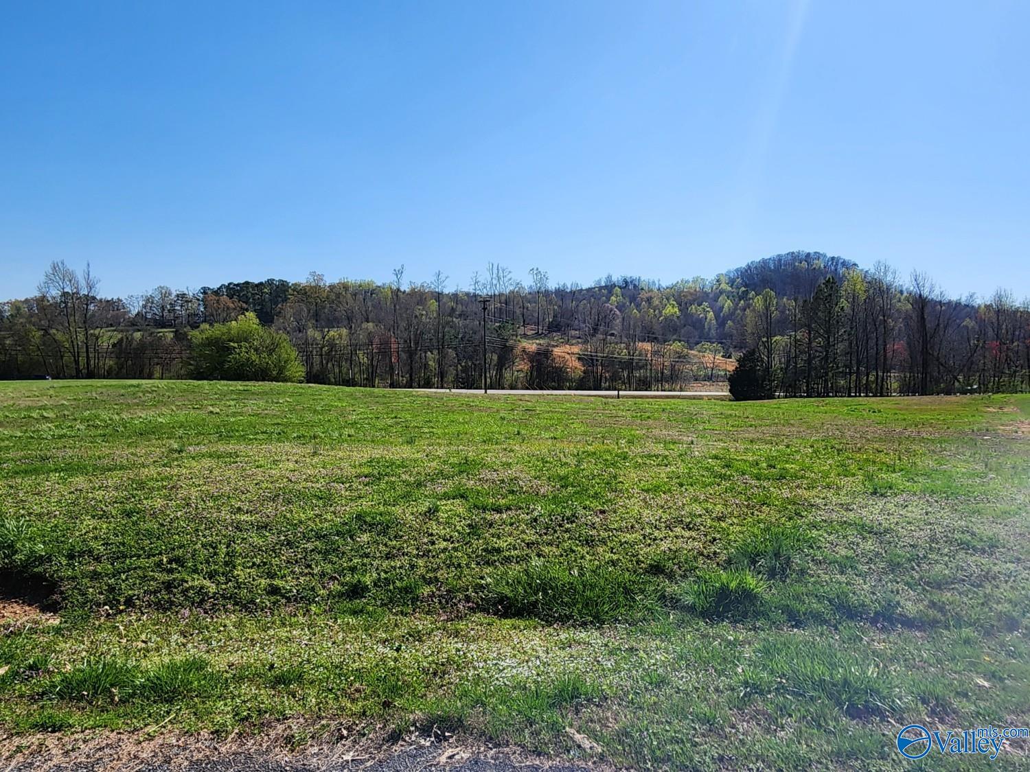 Lot 10 Eliza Lane, Guntersville, Alabama image 1