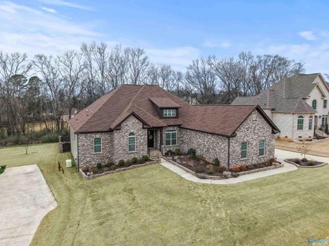 Homes For Sale - 119 Hollow Ridge Circle<br/> Huntsville, AL 35811