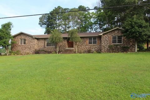 Photo of 1205 7th Street SW, Attalla, AL 35954 (MLS # 21905581)