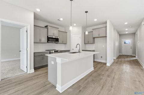 Homes For Sale - 228 Jerrie Lynn Boulevard<br/> Meridianville, AL 35759