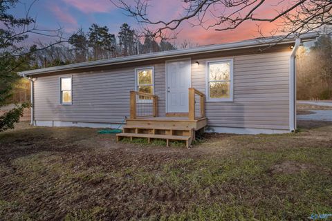 Photo of 321 Keysburg Road, Glencoe, AL 35905 (MLS # 21909280)