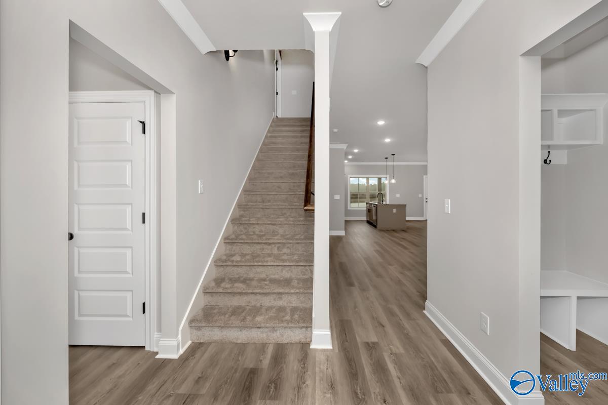 119 Alton Dale Drive
