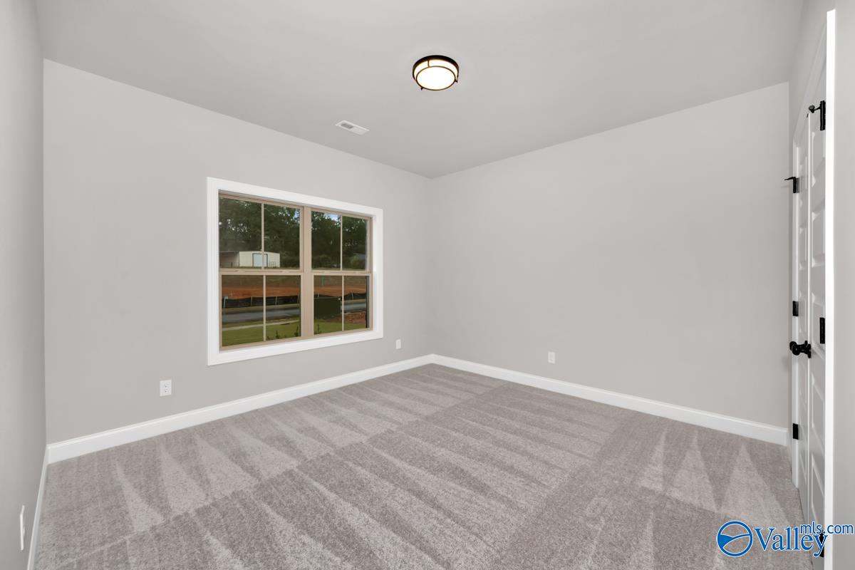119 Alton Dale Drive