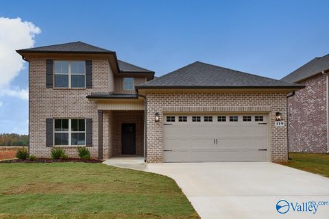 119 Alton Dale Drive Toney AL 35773