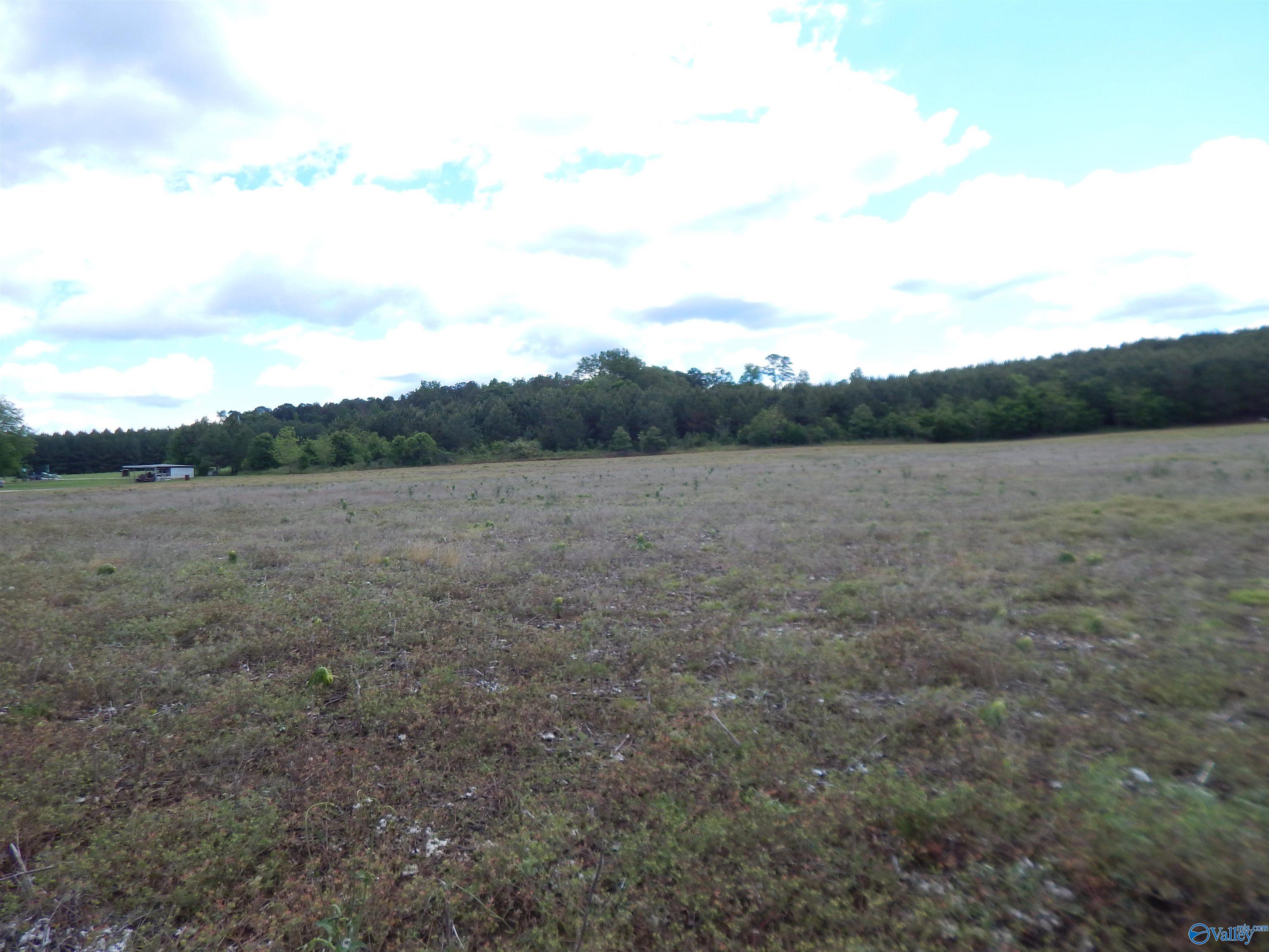 40 Acres County Road 29, Piedmont, Alabama image 9