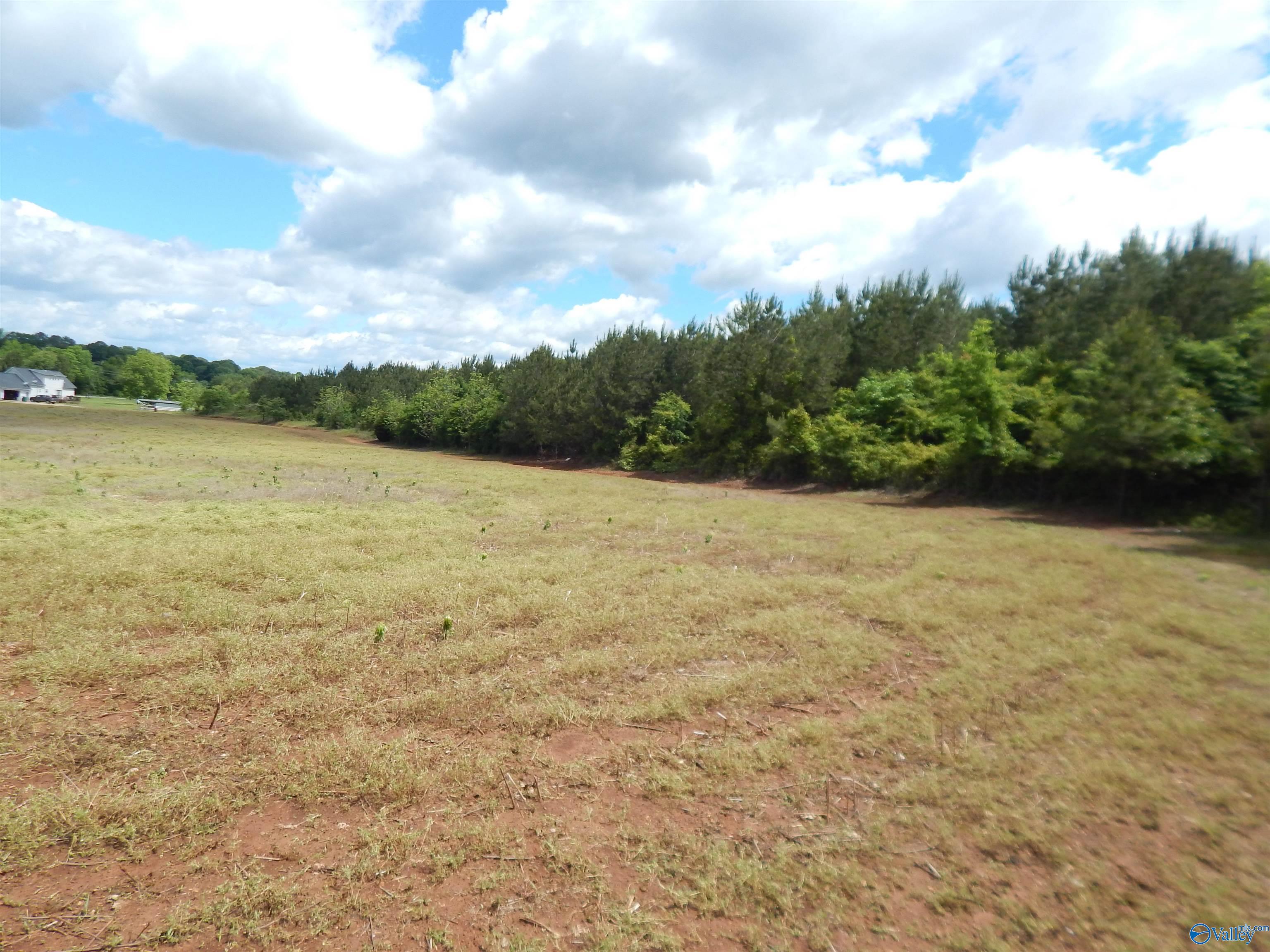40 Acres County Road 29, Piedmont, Alabama image 5