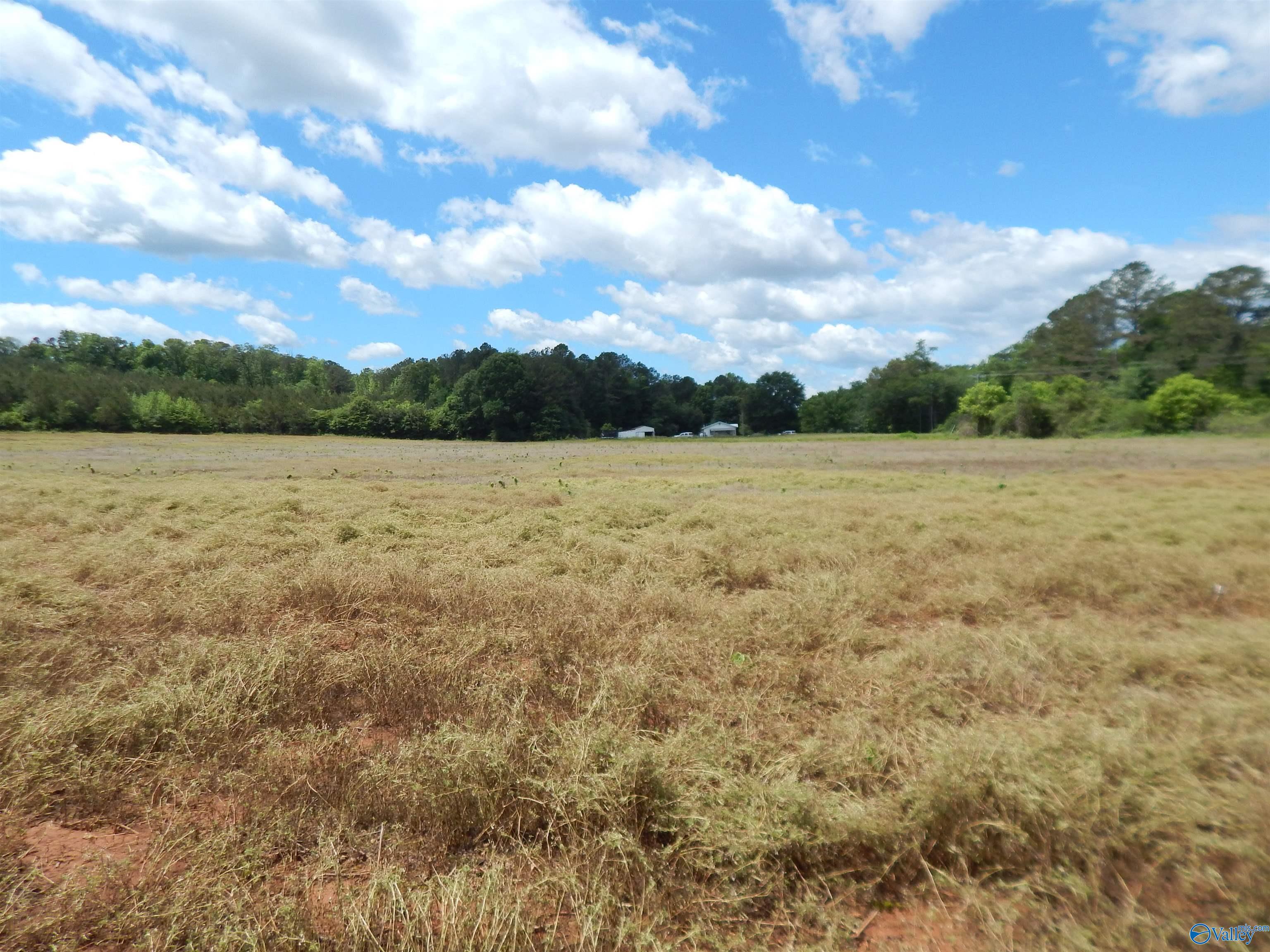 40 Acres County Road 29, Piedmont, Alabama image 2