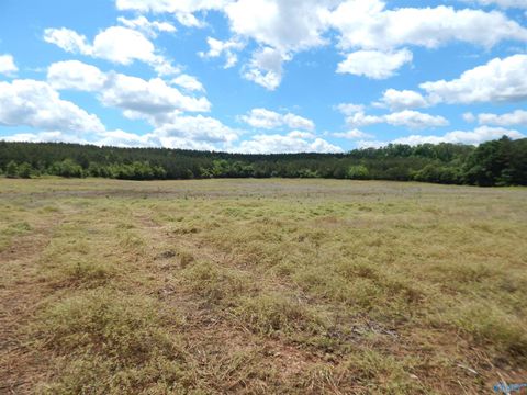 40 Acres County Road 29 Piedmont AL 36272