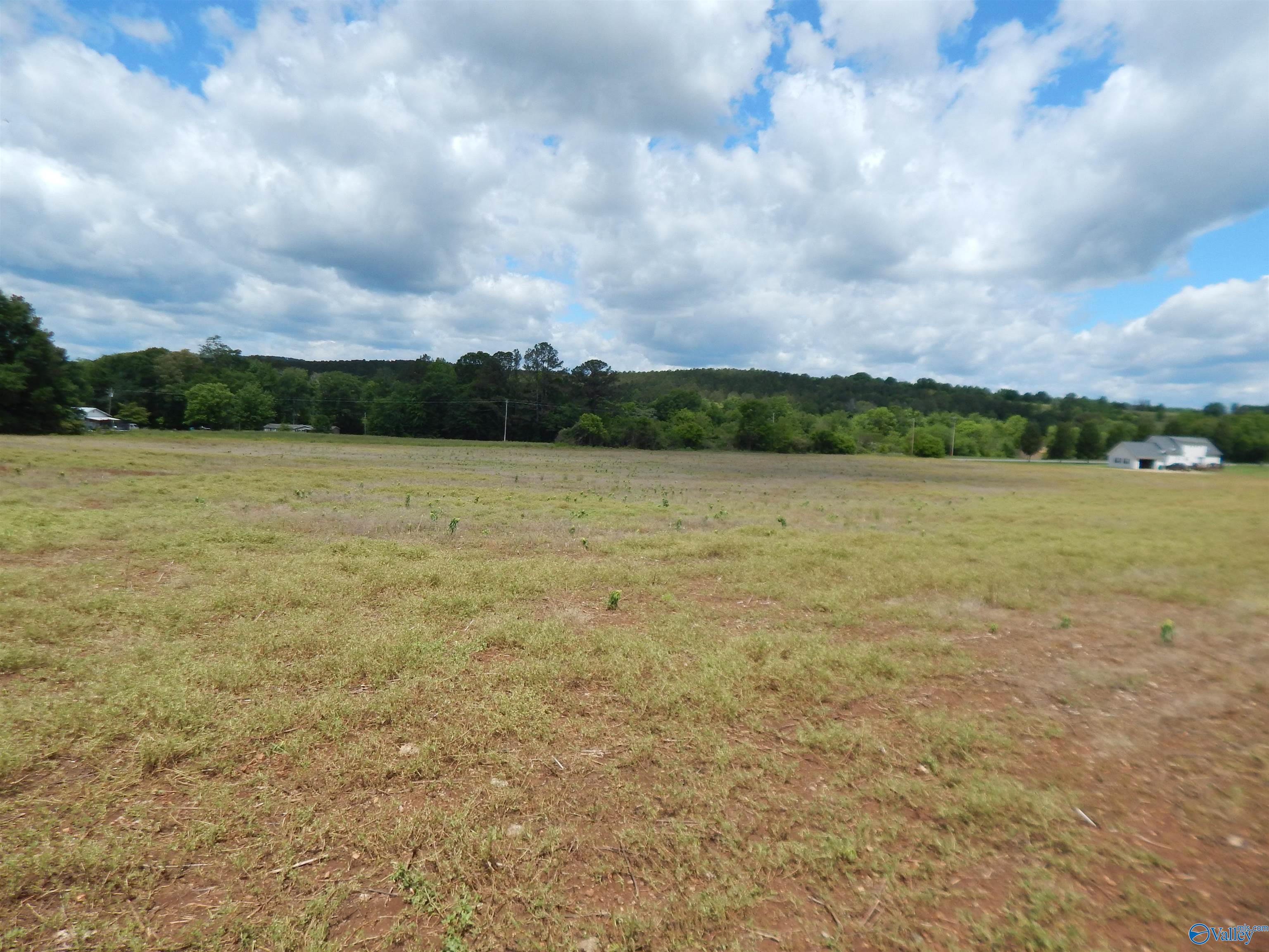 40 Acres County Road 29, Piedmont, Alabama image 4