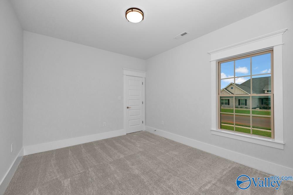 206 Cotton Branch, Meridianville, Alabama image 29