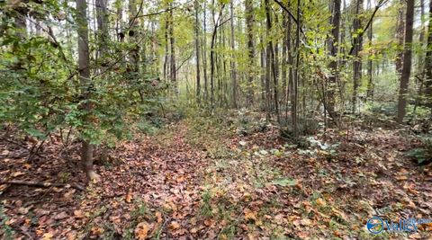 Vacant Land For Sale - 7 ACRES Carters Gin Road<br/> Toney, AL 35773