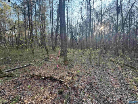 Vacant Land For Sale - 7 ACRES Carters Gin Road<br/> Toney, AL 35773