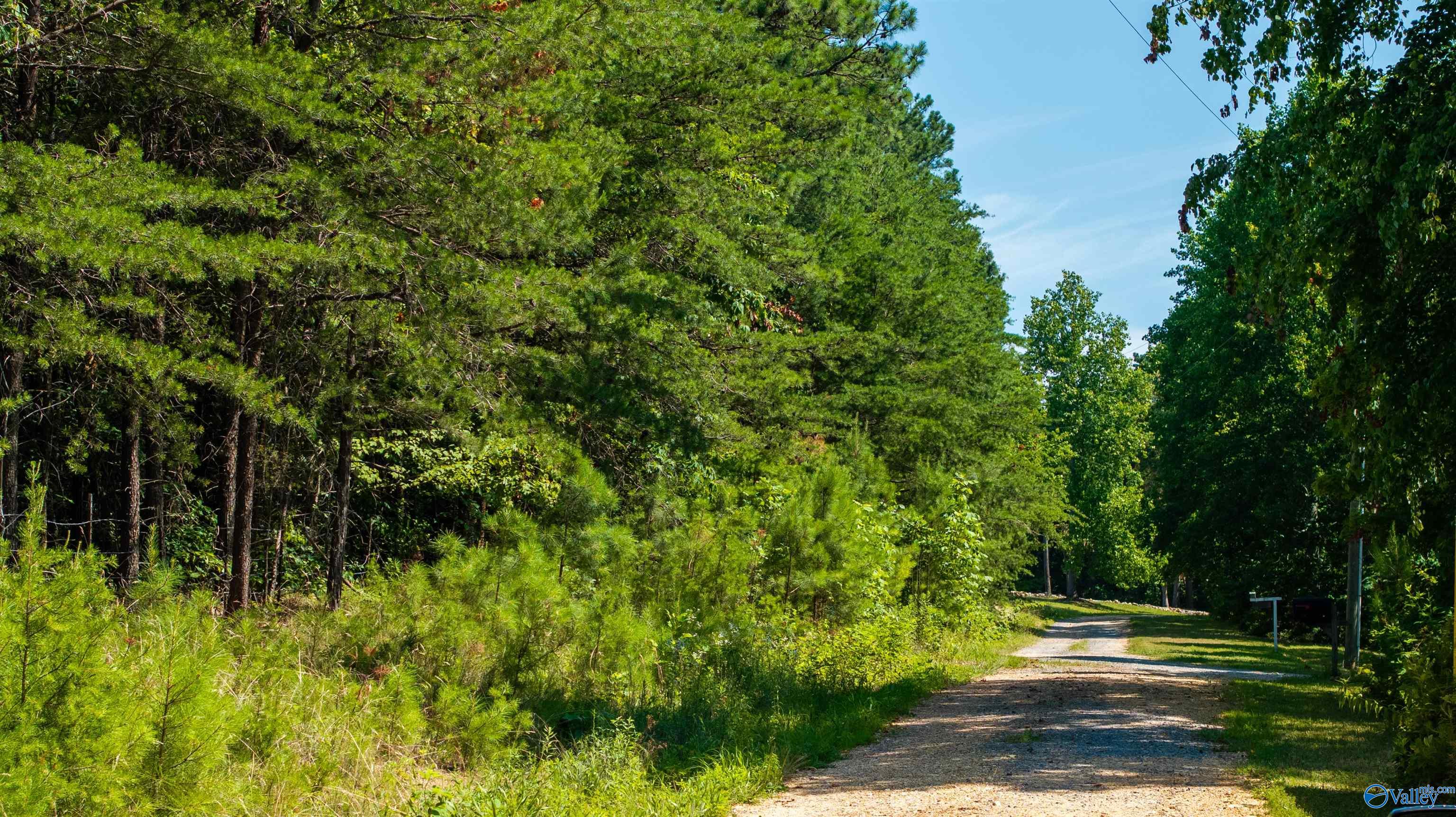 38 Road 1980, Fort Payne, Alabama image 14