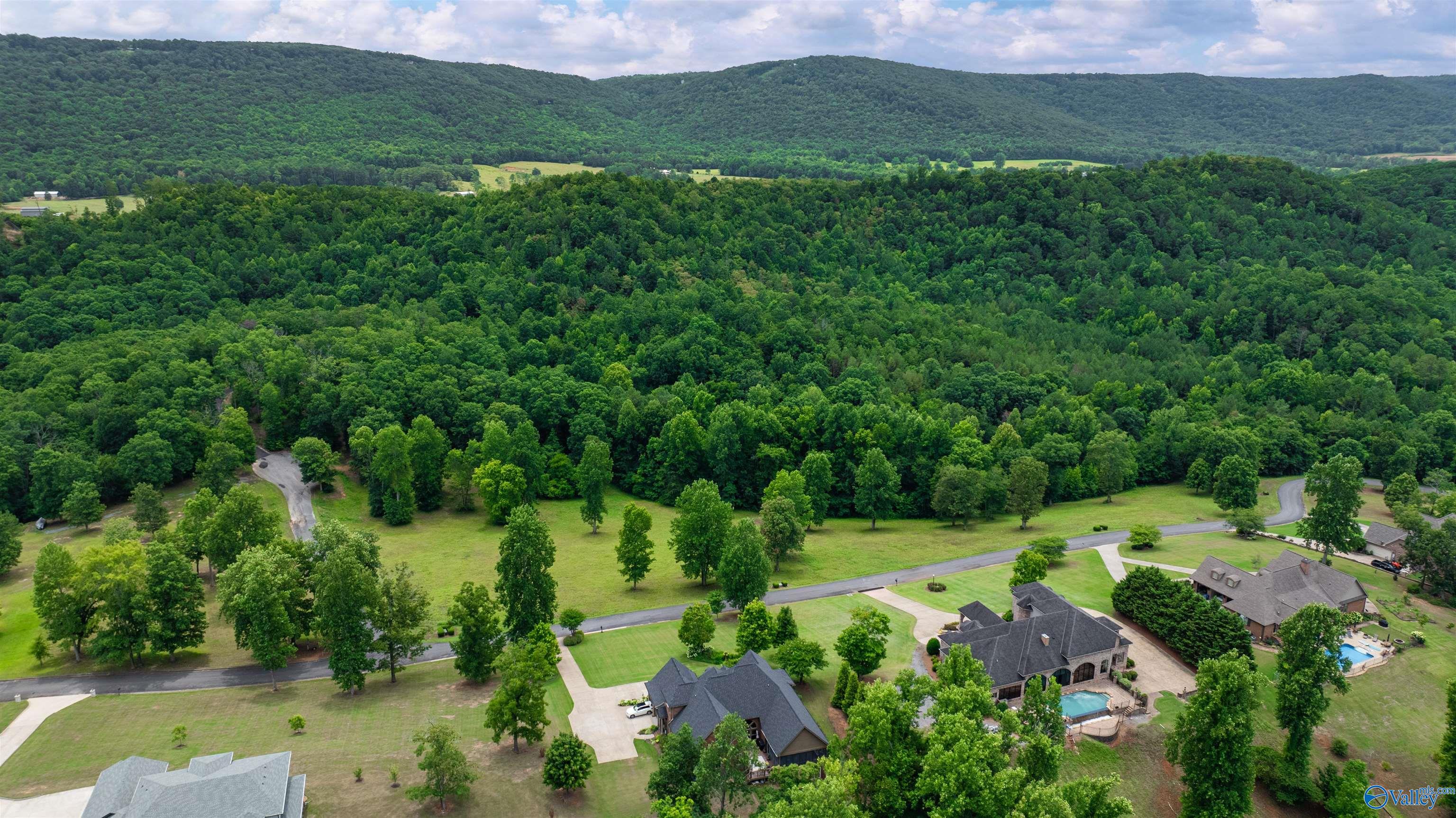 Lots 19-22 County Road 1027, Valley Head, Alabama image 8