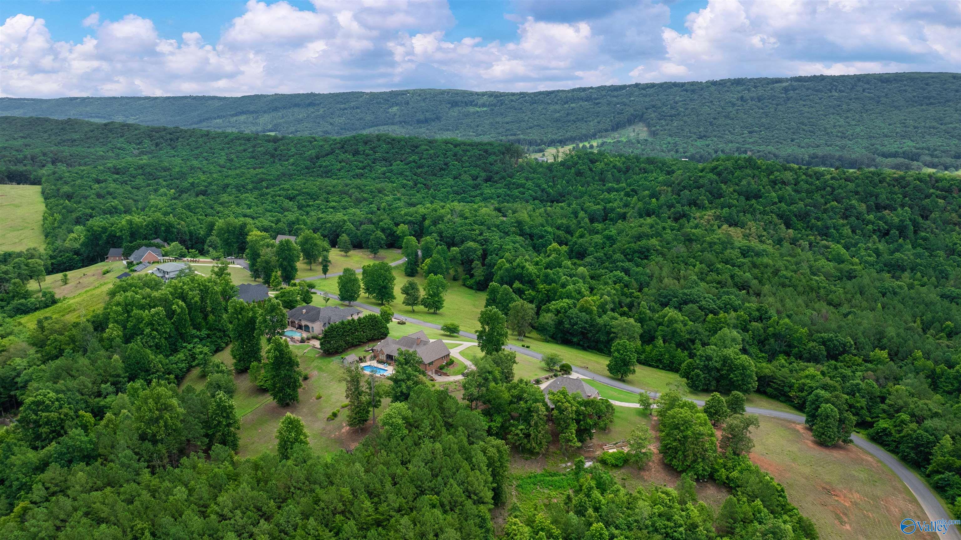 Lots 19-22 County Road 1027, Valley Head, Alabama image 9