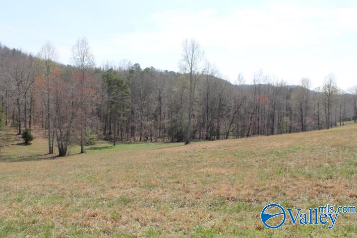 Lots 19-22 County Road 1027, Valley Head, Alabama image 23