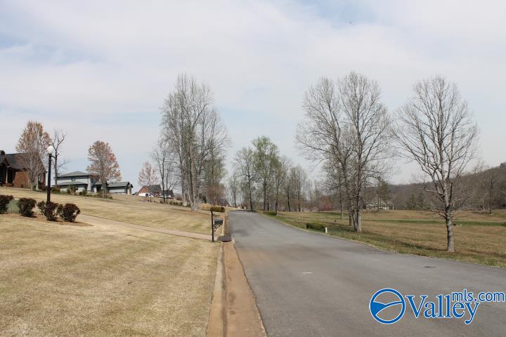 Lots 19-22 County Road 1027, Valley Head, Alabama image 19