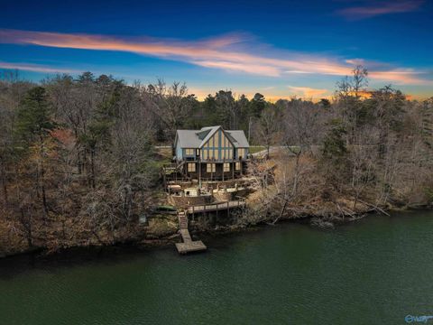Photo of 1437 County Road 106, Mentone, AL 35984 (MLS # 21914039)