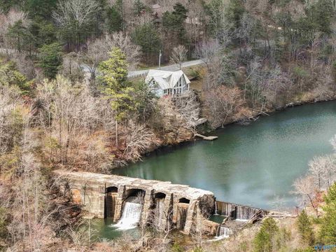 Homes For Sale - 1437 County Road 106<br/> Mentone, AL 35984