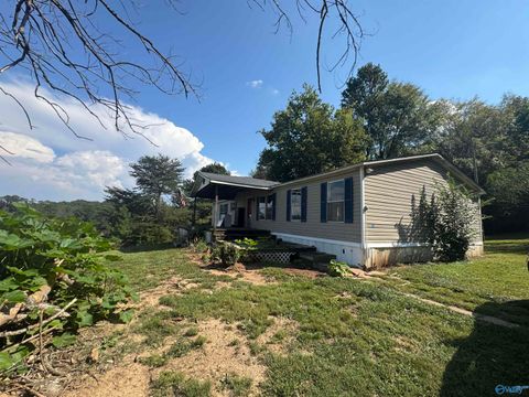 Mobile Home For Sale - 94 County Road 836<br/> Gaylesville, AL 35960