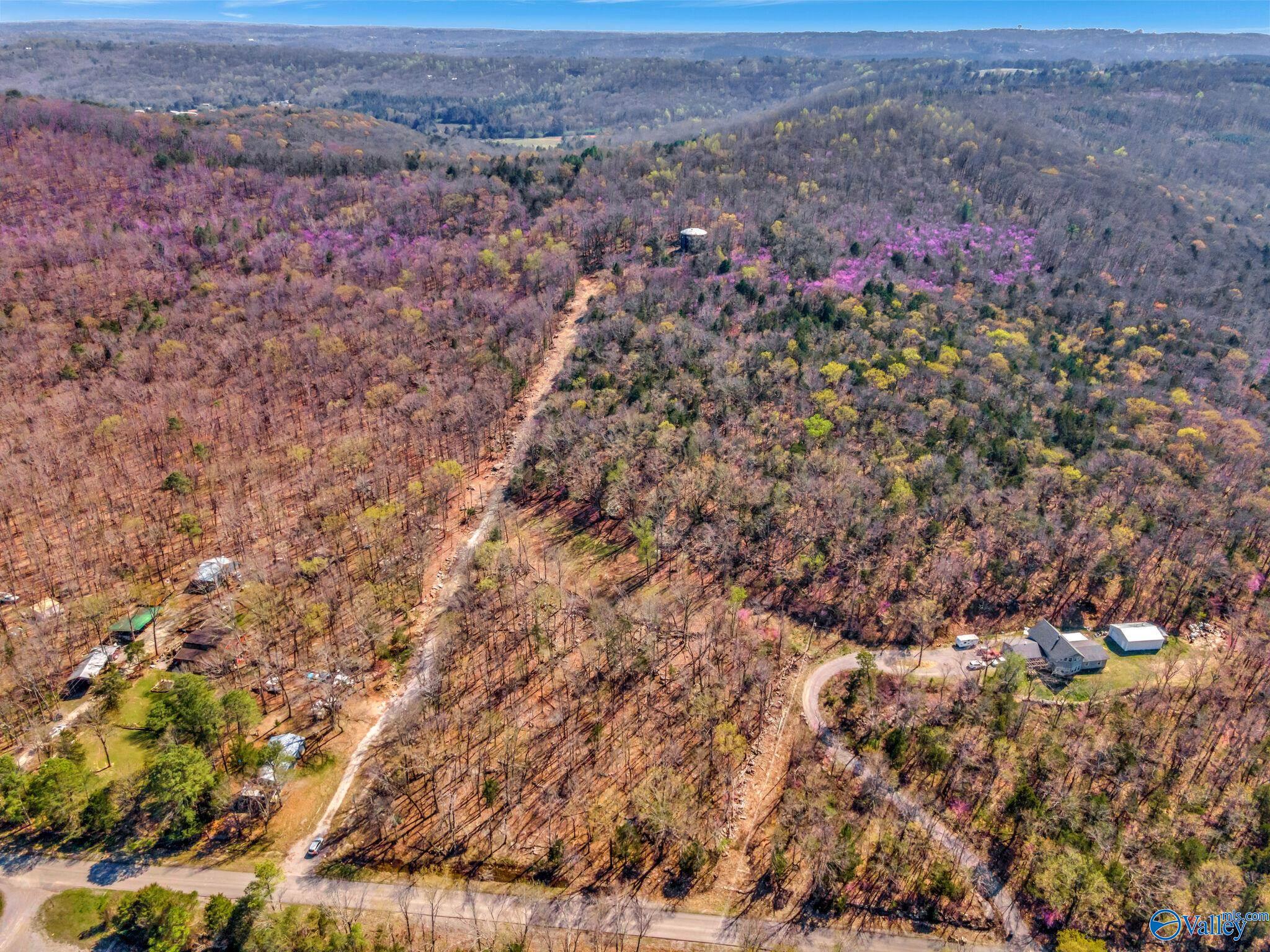 70 Acres S Of County Road 65, Falkville, Alabama image 7