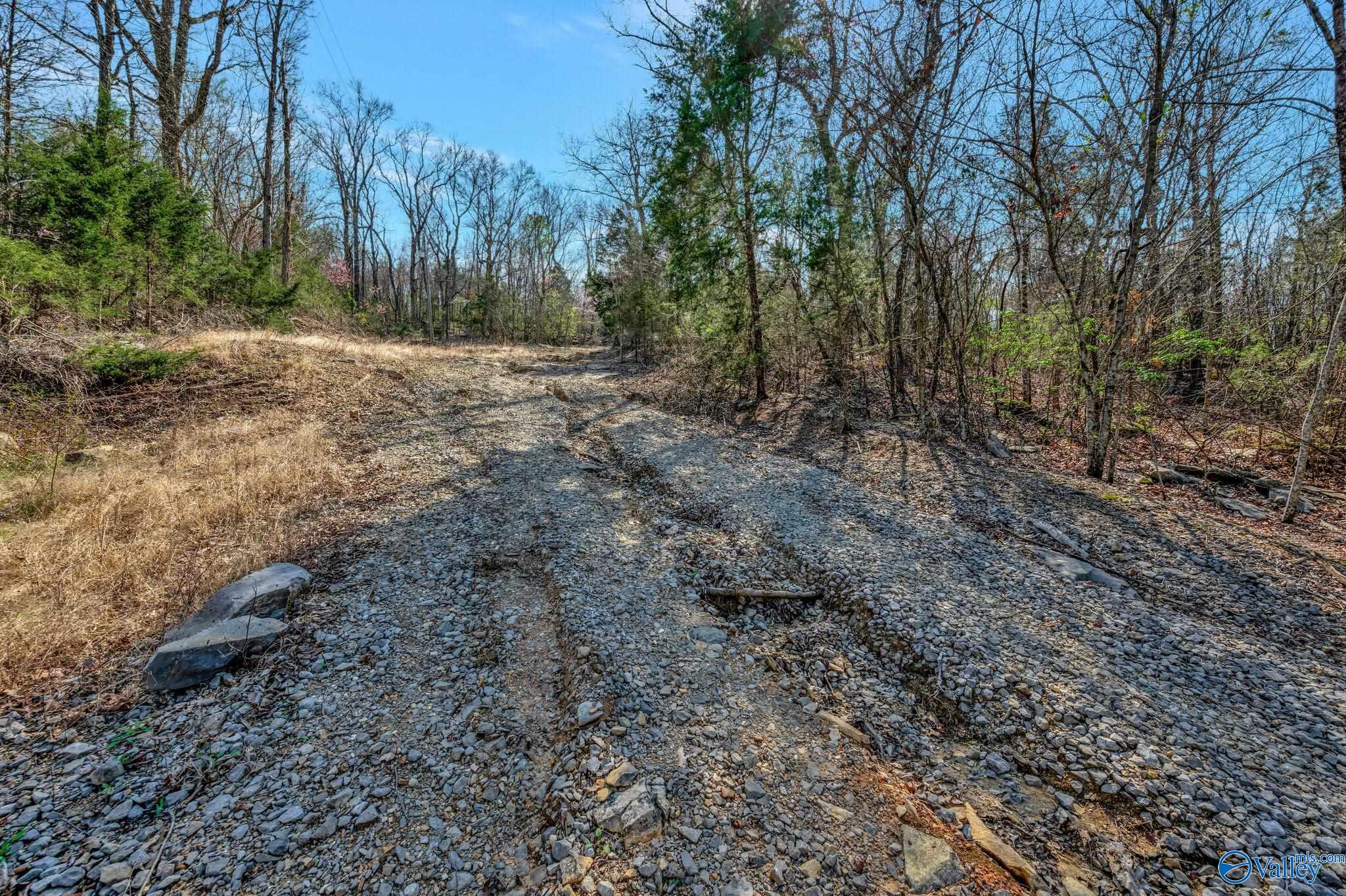 70 Acres S Of County Road 65, Falkville, Alabama image 23