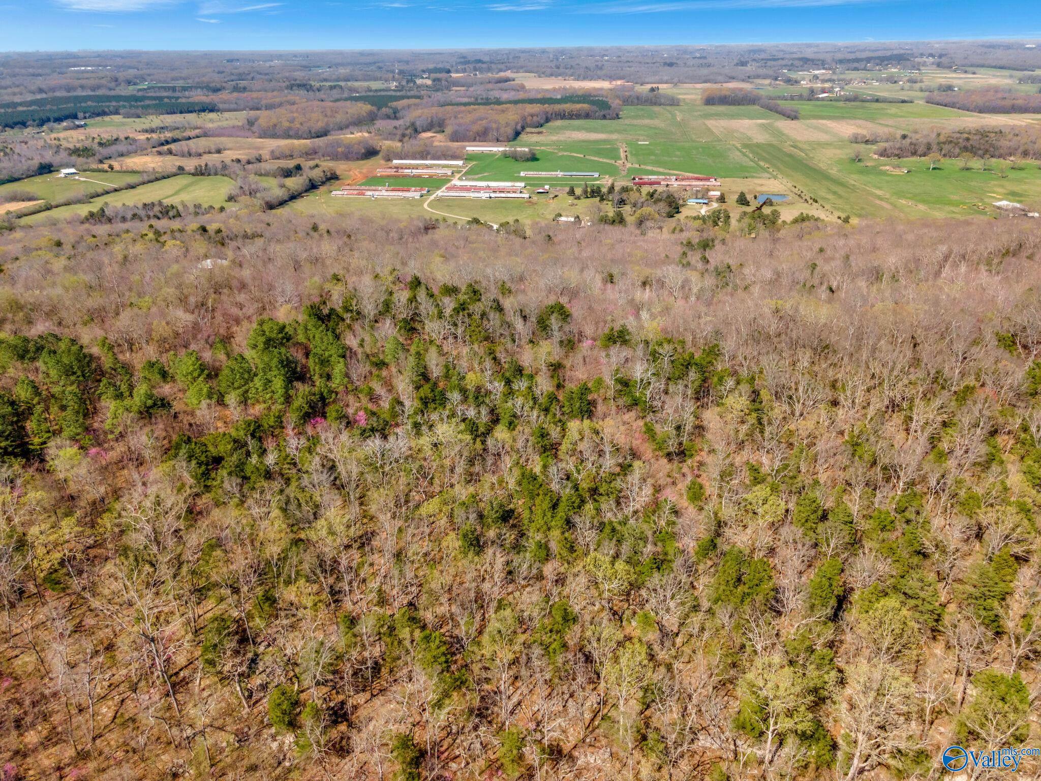 70 Acres S Of County Road 65, Falkville, Alabama image 16