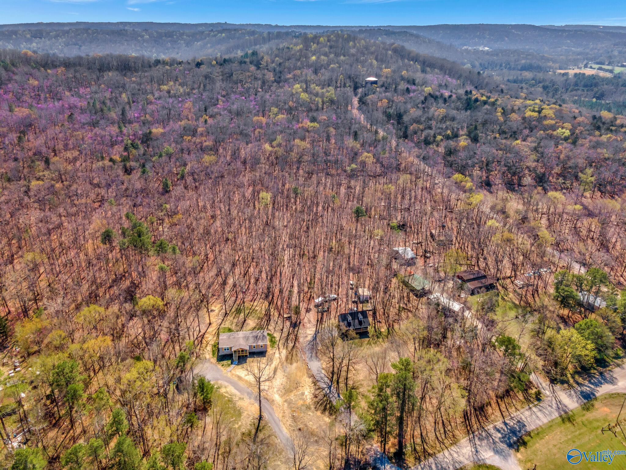 70 Acres S Of County Road 65, Falkville, Alabama image 2