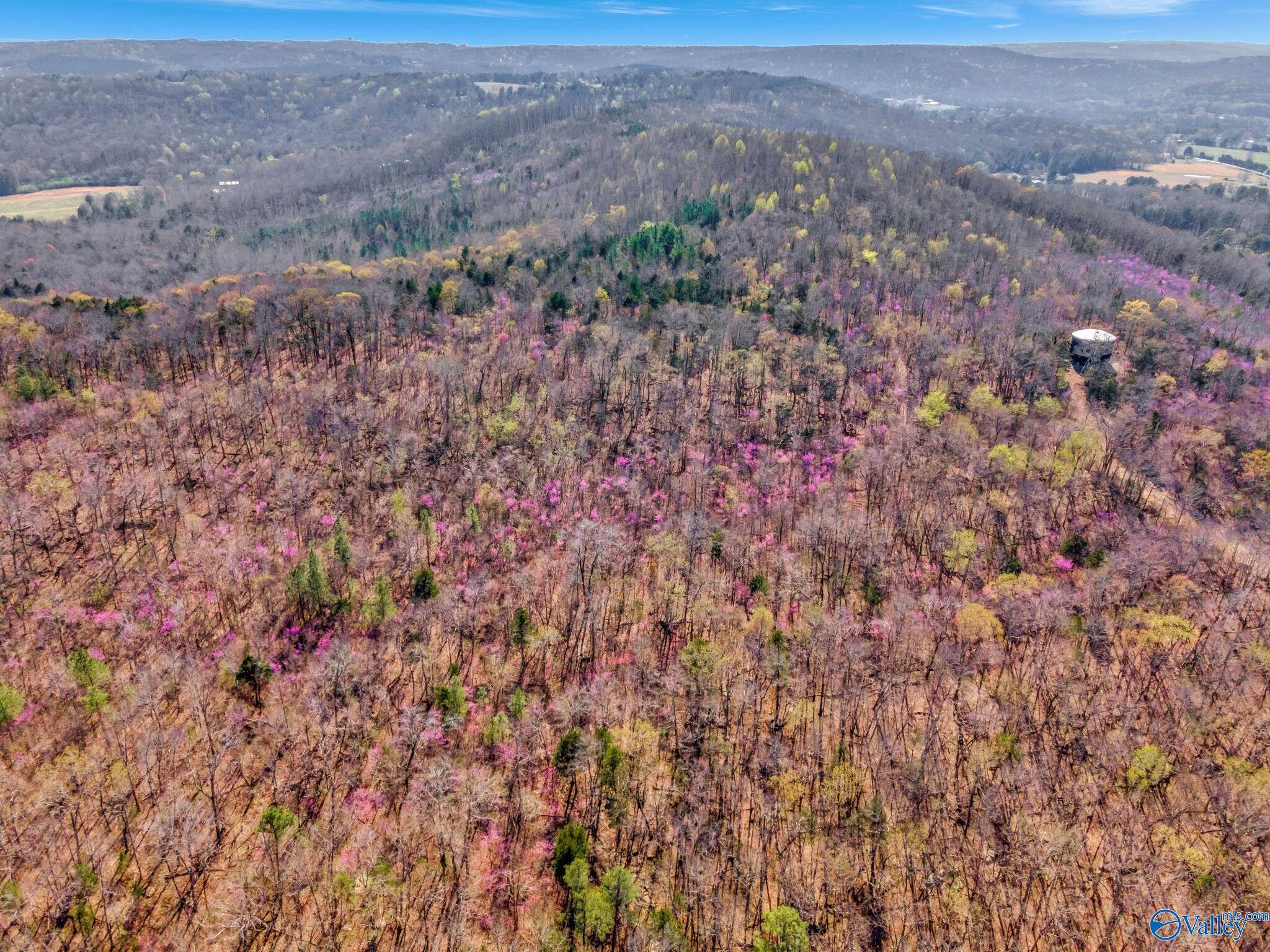 70 Acres S Of County Road 65, Falkville, Alabama image 20