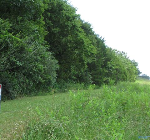 Vacant Land For Sale - 2038 Highway 157<br/> Danville, AL 35619