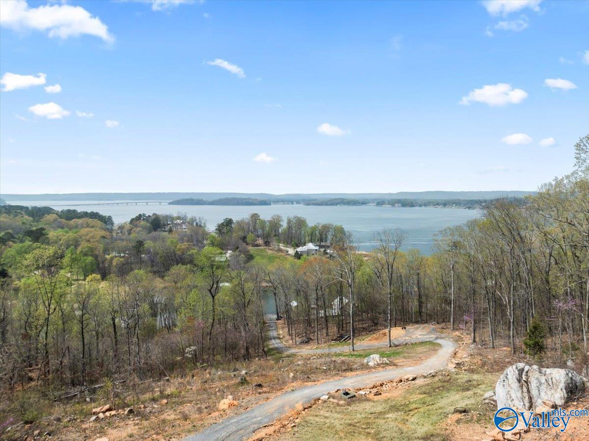 2916 Signal Point Road, Guntersville, Alabama image 2