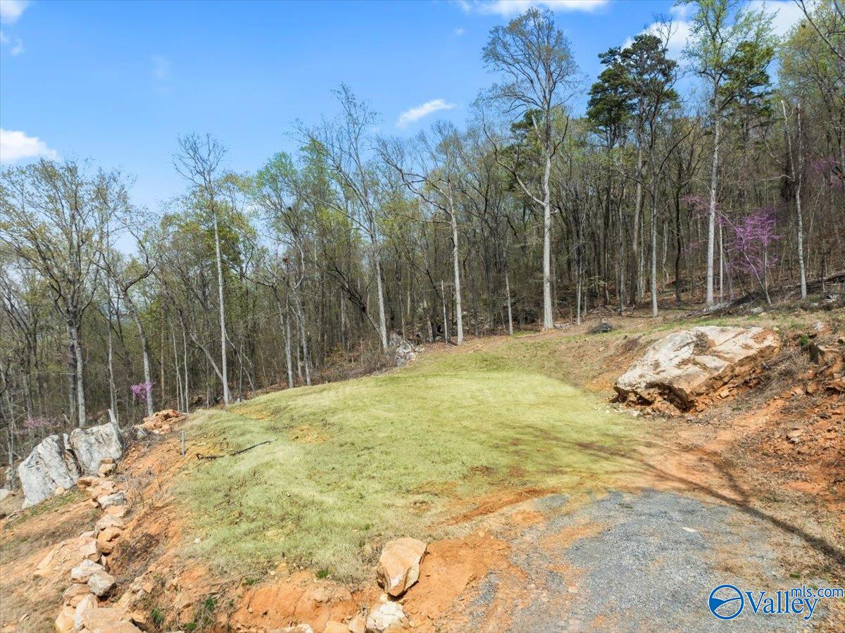 2916 Signal Point Road, Guntersville, Alabama image 8