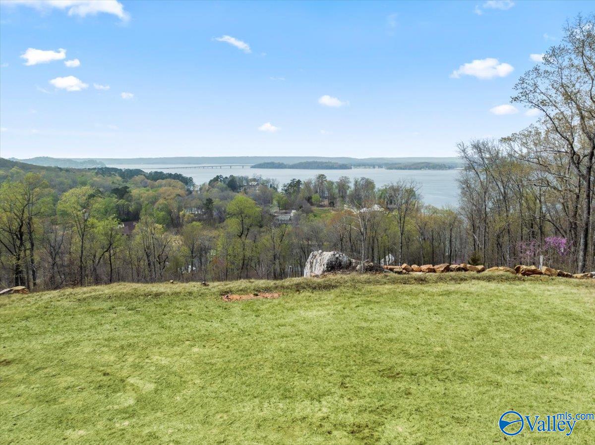 2916 Signal Point Road, Guntersville, Alabama image 16