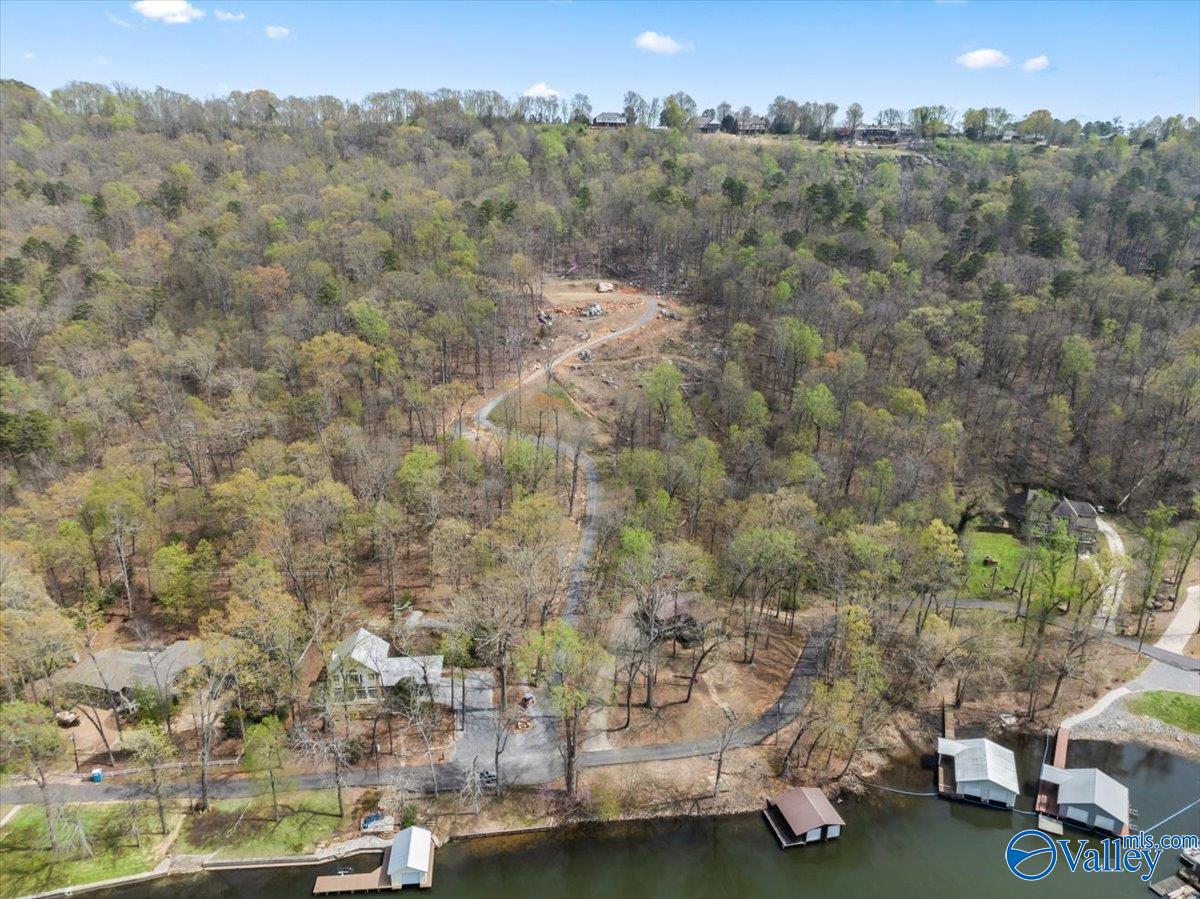 2916 Signal Point Road, Guntersville, Alabama image 4