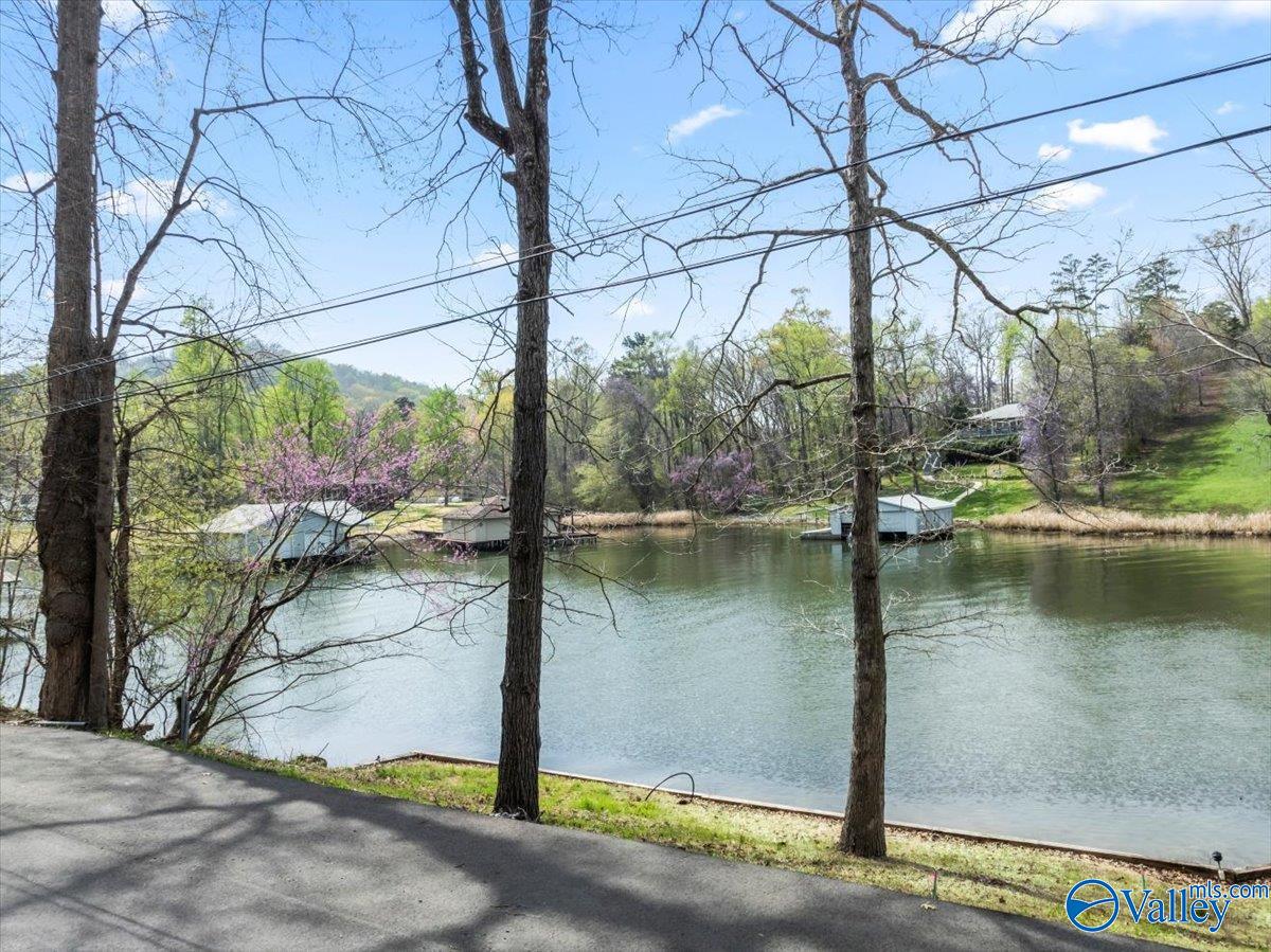 2916 Signal Point Road, Guntersville, Alabama image 20