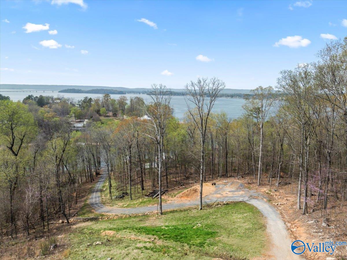 2916 Signal Point Road, Guntersville, Alabama image 15