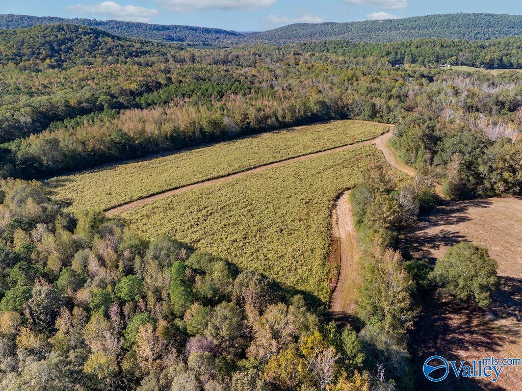 5395 Fairview Cove Road