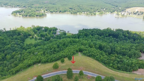 Vacant Land For Sale - 209 County Road 1022<br/> Cedar Bluff, AL 35959