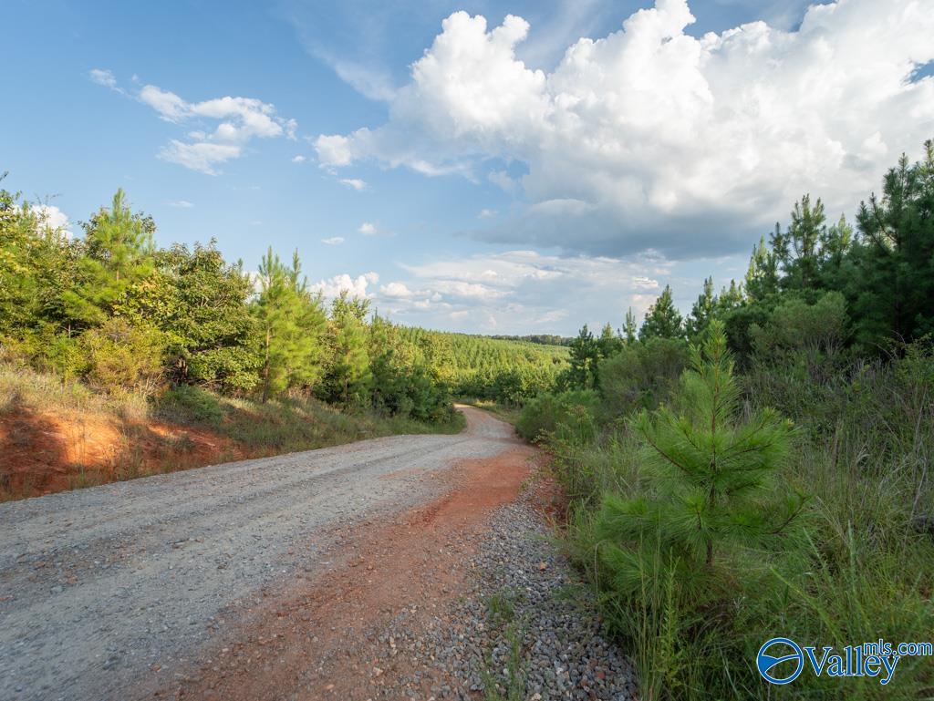 67 Acres Off County Road 22, Rockford, Alabama image 9